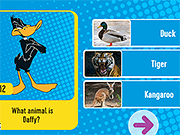 Looney Tunes: Guess the Animal - Skill - Y8.COM