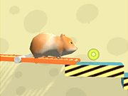 Hamster Maze Online - Skill - Y8.COM