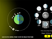 Phases of Moon - Management & Simulation - Y8.COM