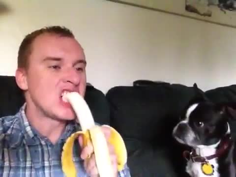 Sharing His Banana - Animals - Videotime.com
