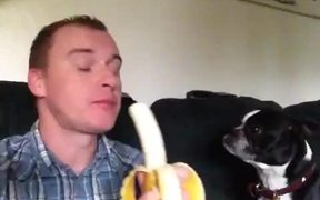 Sharing His Banana - Animals - VIDEOTIME.COM