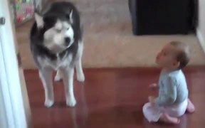Dog Imitates Baby - Animals - VIDEOTIME.COM