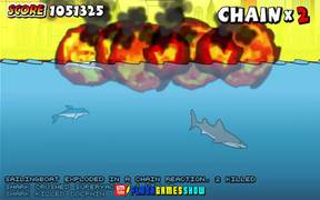 Miami Shark Walkthrough - Games - VIDEOTIME.COM