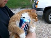 This Cat Loves Beer