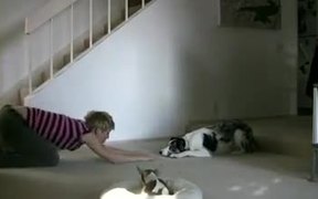 Dog Workout Buddy - Fun - VIDEOTIME.COM