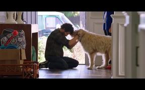 Dog Days Trailer - Movie trailer - VIDEOTIME.COM