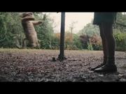 Christopher Robin International Trailer