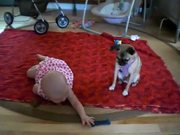 Dog Teaching Baby