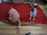 Dog Teaching Baby