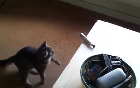 Cat Vs Razor - Animals - VIDEOTIME.COM