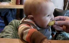 Baby Vs Lemons - Kids - VIDEOTIME.COM