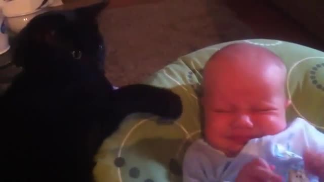 Cat Stops Baby Crying