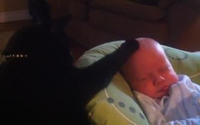 Cat Stops Baby Crying - Animals - VIDEOTIME.COM
