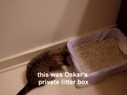 Oskars First Toys