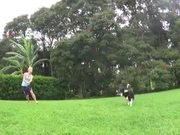 VolleyBall Dog