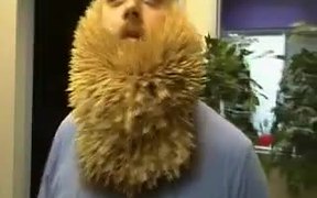 2747 Toothpick Beard - Fun - VIDEOTIME.COM