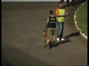 Police Dog Loves Soccer - Animals - Y8.COM