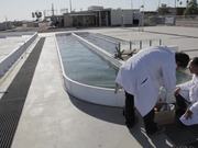 From Wastewater, Renewable Energy