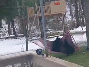 Bears Playing On The Hammoc - Animals - Y8.COM