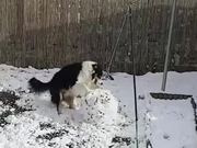 Dog & Snowman