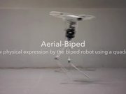 Aerial Biped Robot Dances