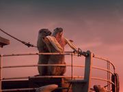 Marmottes - Titanic