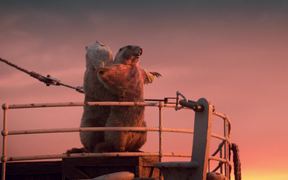 Marmottes - Titanic - Commercials - VIDEOTIME.COM