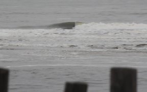 Vince Surfboards XLS Model - Sports - VIDEOTIME.COM