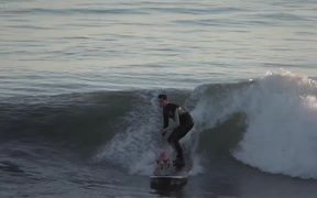 Skyler The Surfing Dog - Animals - VIDEOTIME.COM