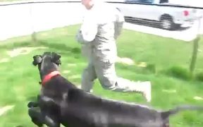 Huge Welcome Home - Animals - VIDEOTIME.COM