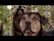 A Dog's Way Home Trailer