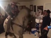 Horse House Party