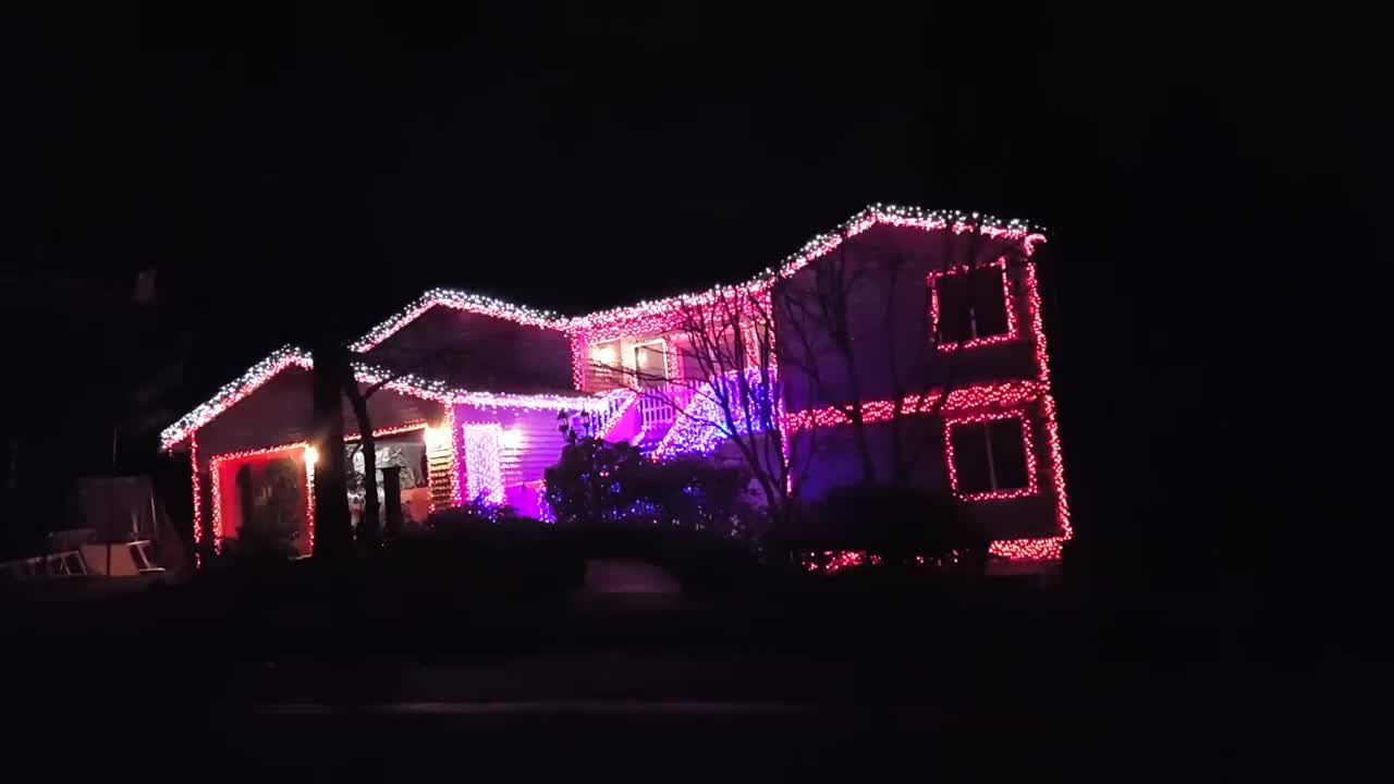 Seahawks Christmas Lights