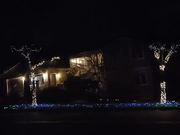 Seahawks Christmas Lights