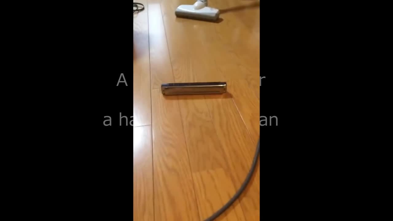 A Vacuum Cleaner Meets A Harmonica