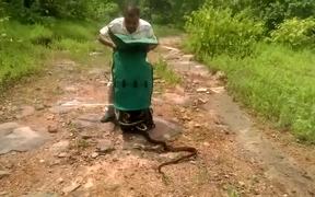 Releasing 285 Snakes At Once - Animals - VIDEOTIME.COM