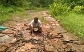 Releasing 285 Snakes At Once - Animals - VIDEOTIME.COM