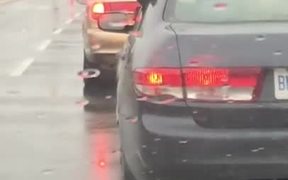 Dog Eating Raindrops Out Of A Car - Animals - VIDEOTIME.COM
