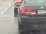 Dog Eating Raindrops Out Of A Car