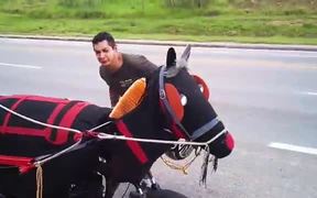 Modern Day Horse Carriage - Tech - VIDEOTIME.COM