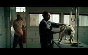 Dogman Trailer - Movie trailer - VIDEOTIME.COM
