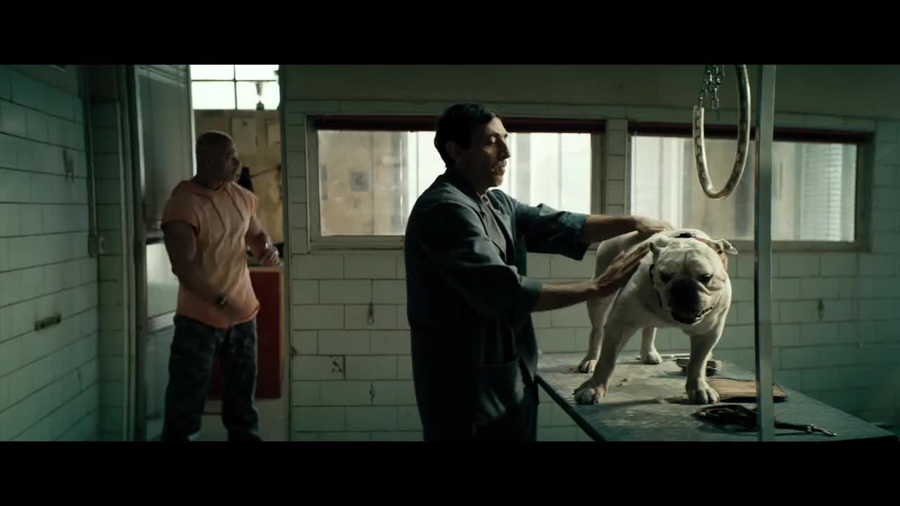 Dogman Trailer