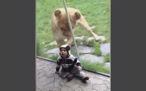 Kids With Animals - Animals - VIDEOTIME.COM