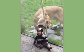 Kids With Animals