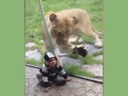 Kids With Animals