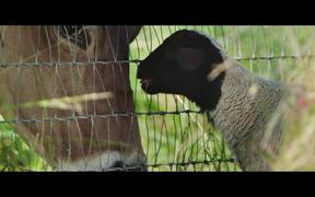 The Biggest Little Farm Official Trailer - Movie trailer - VIDEOTIME.COM