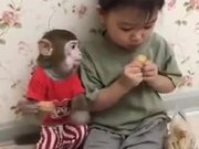 Kids & Pet Monkey