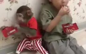 Kids & Pet Monkey - Animals - VIDEOTIME.COM