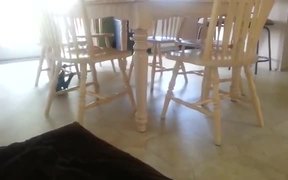 Crazy Cat Backsliding On The Floor - Animals - VIDEOTIME.COM