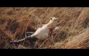 Mia and the White Lion Trailer - Movie trailer - VIDEOTIME.COM